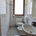 Gelsomino